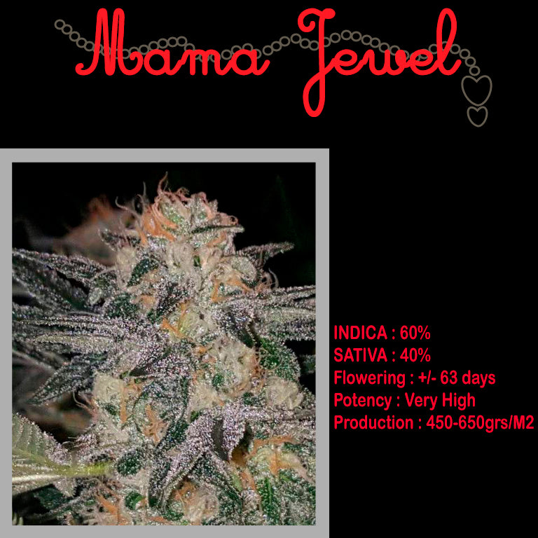 FEMINIZED MAMA JEWEL