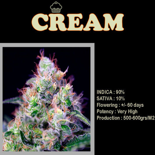 FEMINIZED CREAM