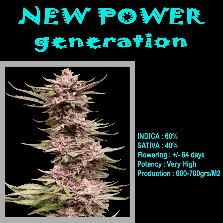 FEMINIZED NEW POWER GENERATION