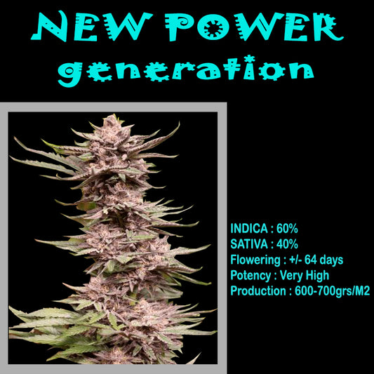 FEMINIZED NEW POWER GENERATION